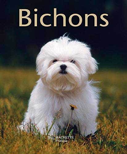 Beispielbild fr Bichons: Bien les comprendre et bien les soigner, les conseils dun expert pour votre animal favori zum Verkauf von Reuseabook