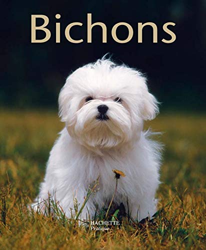 Stock image for Bichons for sale by dsmbooks
