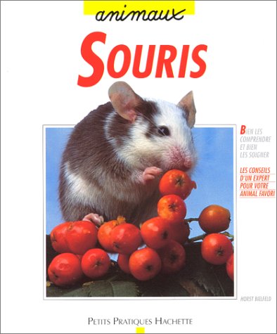 Beispielbild fr Souris : Bien les comprendre et bien les soigner, les conseils d'un expert pour votre animal favori zum Verkauf von Ammareal