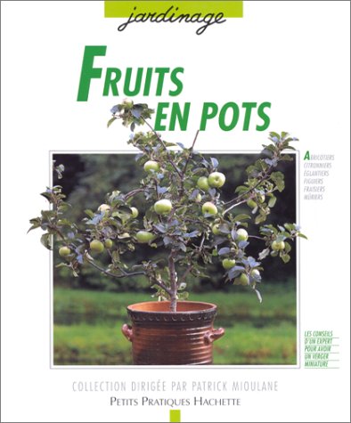 Beispielbild fr Fruits en pots zum Verkauf von medimops