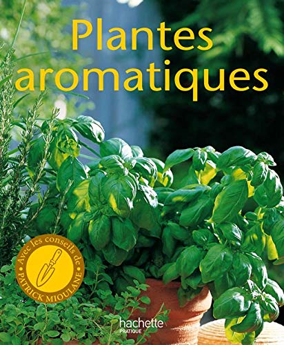 Beispielbild fr Plantes aromatiques zum Verkauf von medimops