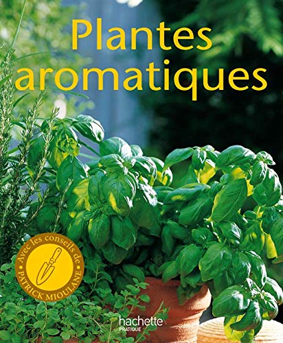 Stock image for Plantes aromatiques for sale by medimops