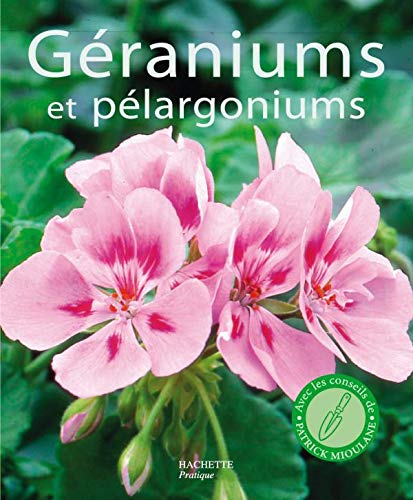 Beispielbild fr Graniums Et Plargoniums zum Verkauf von RECYCLIVRE