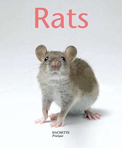 Stock image for Rats for sale by Ammareal