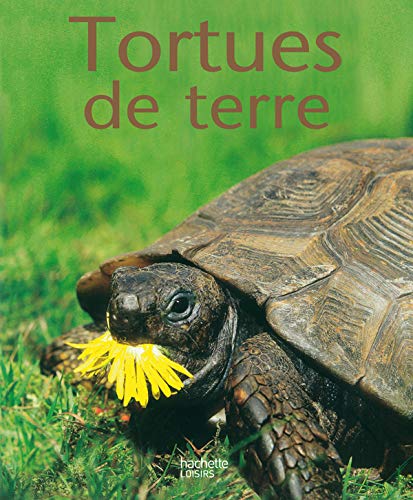 9782016211311: Tortues de terre