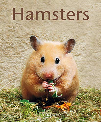 Beispielbild fr Hamsters zum Verkauf von Ammareal
