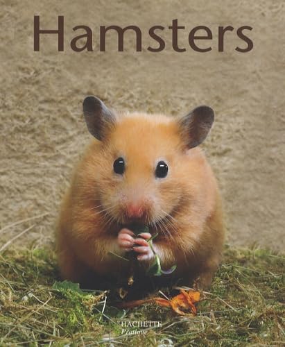 Stock image for Hamsters for sale by medimops