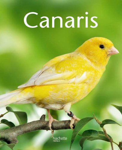 Stock image for Canaris for sale by Ammareal