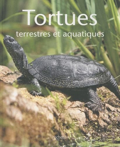 Beispielbild fr Tortues zum Verkauf von medimops