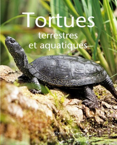 9782016211793: Tortues (Jardins / Nature / Animaux)