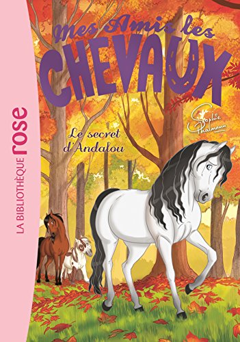 Stock image for Mes amis les chevaux 19 - Le secret d'Andalou (Mes amis les chevaux - Sophie Thalmann (19)) for sale by WorldofBooks