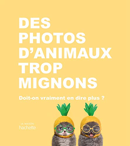 Beispielbild fr Des photos d'animaux trop mignons: Doit-on vraiment en dire plus ? zum Verkauf von medimops