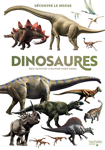 Imagen de archivo de Dcouvre le monde - Dinosaures a la venta por medimops