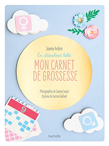 Stock image for Mon carnet de grossesse: En attendant bb for sale by medimops