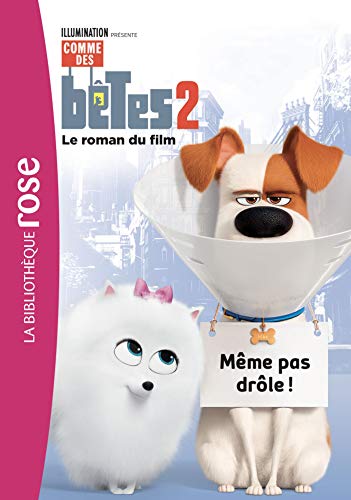 Imagen de archivo de Comme Des Btes 2 : Le Roman Du Film : Mme Pas Drle ! a la venta por RECYCLIVRE