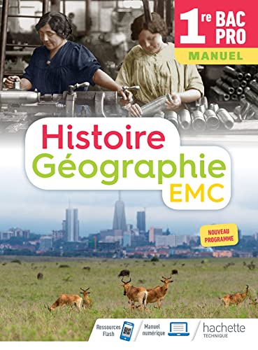Stock image for Histoire-Gographie-EMC 1re Bac Pro - Livre lve - d. 2020 for sale by LeLivreVert