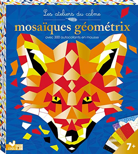 Stock image for Mosaques Gomtrix - bote avec accessoires for sale by medimops