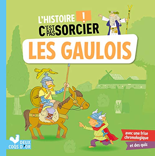 Beispielbild fr Les Gaulois zum Verkauf von RECYCLIVRE