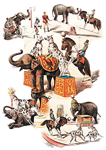 Stock image for Carnet LignT Animaux DressTs, Cirque (Bnf Animaux) (French Edition) for sale by Lakeside Books