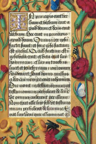 Stock image for Carnet LignT Heures Anne de Bretagne, Oeillets (Bnf Enluminures) (French Edition) for sale by Lakeside Books