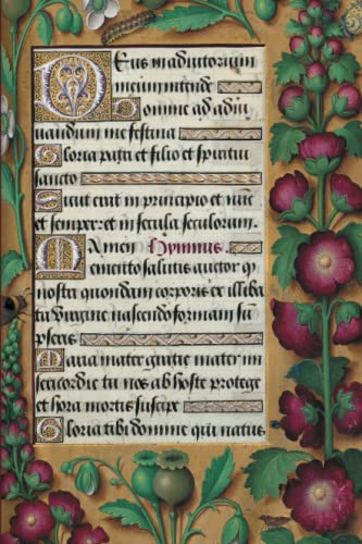 Stock image for Carnet LignT Heures Anne de Bretagne, Roses (Bnf Enluminures) (French Edition) for sale by Lakeside Books