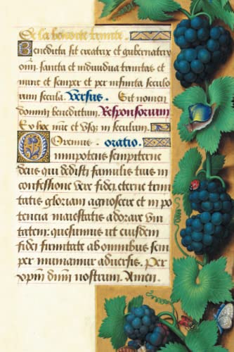 Imagen de archivo de Carnet LignT Heures Anne de Bretagne, Raisin (Bnf Enluminures) (French Edition) a la venta por Lakeside Books