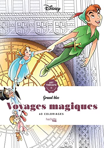 Beispielbild fr Voyages Magiques zum Verkauf von medimops