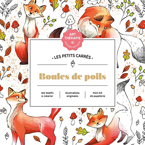 Beispielbild fr Les petits carrs d'Art-thrapie Boules de poils zum Verkauf von medimops