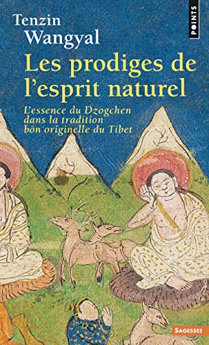 Beispielbild fr Les prodiges de l'esprit naturel zum Verkauf von Ammareal