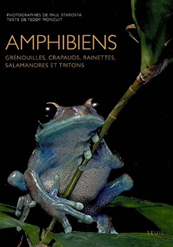 Beispielbild fr Amphibiens : Grenouilles, crapauds, rainettes, salamandres et tritons zum Verkauf von Ammareal