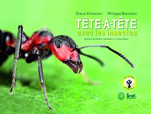 Beispielbild fr Tte--tte avec les insectes (1CD audio) zum Verkauf von Ammareal