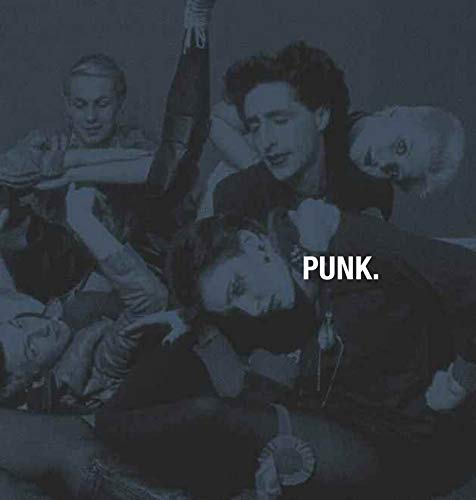 Beispielbild fr Punk : Hors Limites zum Verkauf von RECYCLIVRE