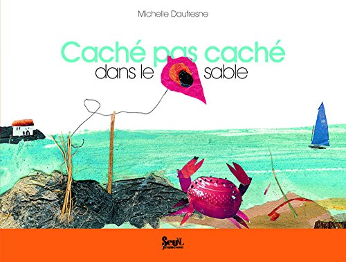 CachÃ© pas cachÃ© dans le sable (French Edition) (9782021041859) by Michelle Daufresne