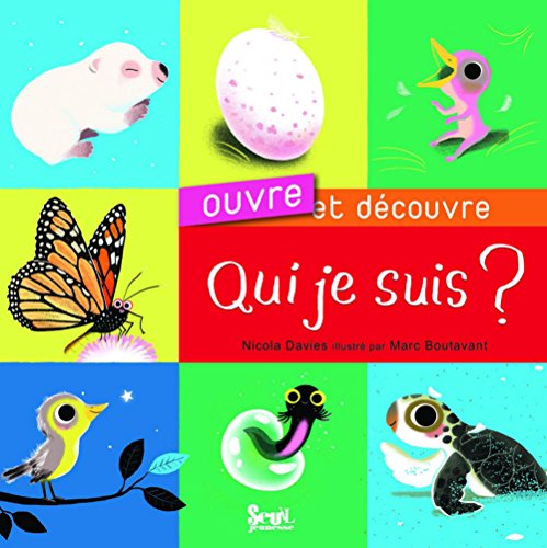 Stock image for Qui Je Suis ? for sale by RECYCLIVRE