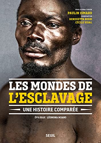 Beispielbild fr les mondes de l'esclavage : une histoire compare zum Verkauf von Chapitre.com : livres et presse ancienne