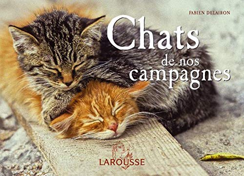 9782035822598: Chats de nos campagnes