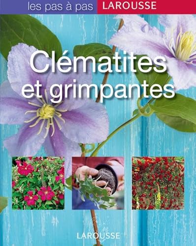 Stock image for Clmatites et grimpantes for sale by Ammareal