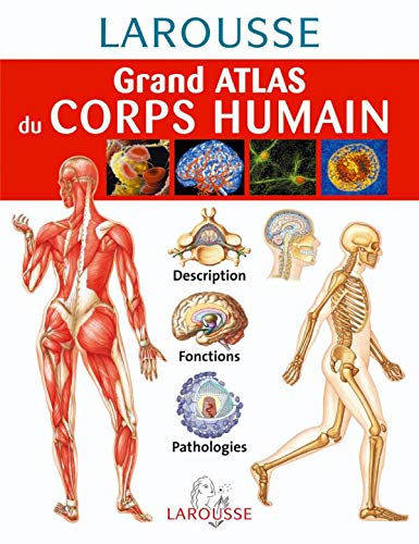 9782035822901: Grand Atlas Du Corps Humain: Description, Fonctions, Pathologies