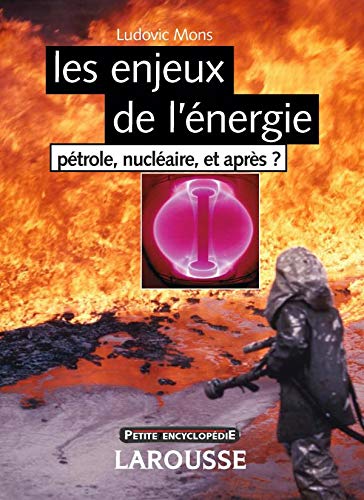 Imagen de archivo de Les enjeux de l'nergie : Ptrole, nuclaire, et aprs ? a la venta por Ammareal