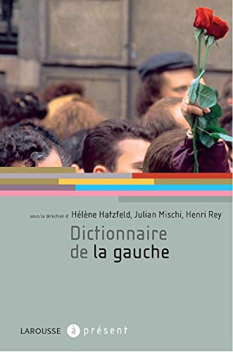 Stock image for Dictionnaire de la gauche for sale by Ammareal