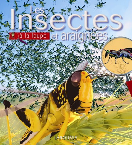 Imagen de archivo de Insectes et araignes a la venta por medimops