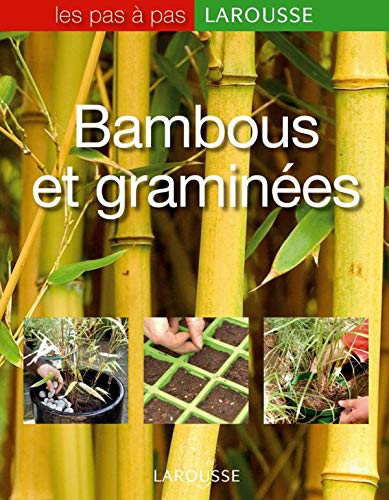 Imagen de archivo de Bambous et gramines a la venta por medimops