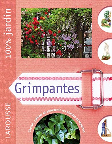 Stock image for Grimpantes for sale by Ammareal