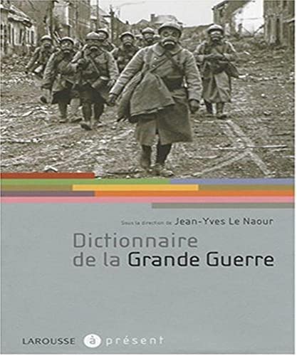 Beispielbild fr Dictionnaire De La Grande Guerre zum Verkauf von RECYCLIVRE
