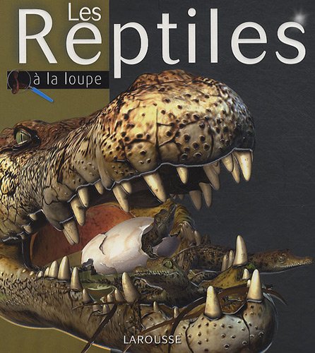 Stock image for Les Reptiles (French Edition) for sale by Better World Books