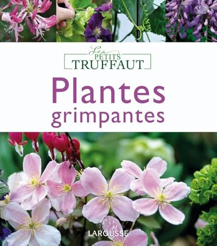 Stock image for Plantes grimpantes for sale by medimops