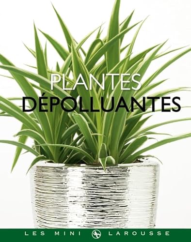 Beispielbild fr Plantes dpolluantes zum Verkauf von medimops