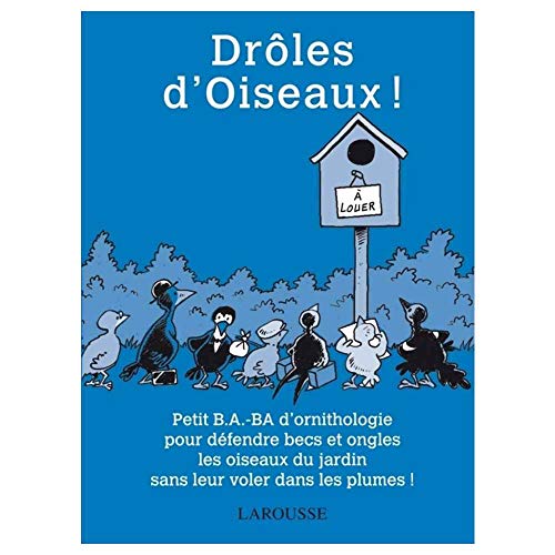 Stock image for Drles d'Oiseaux ! for sale by Ammareal