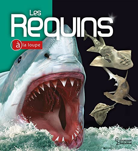 Beispielbild fr Les Requins zum Verkauf von Gallix