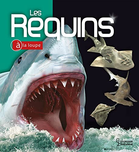Stock image for Les Requins for sale by Ammareal